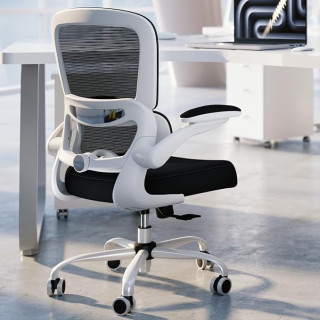 Office Chair - Ergonomic Desk Chair with Adjustable Lumbar Support, Mesh Computer Chair, Executive Chairs for Home Office Comfortable Lumbar Support (White+Black)