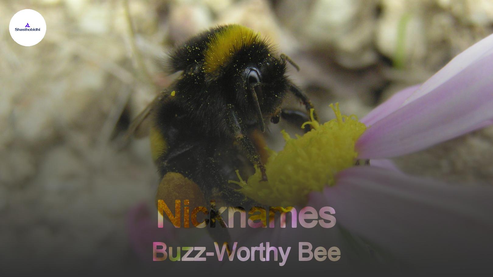 Buzz-Worthy Bee Nicknames