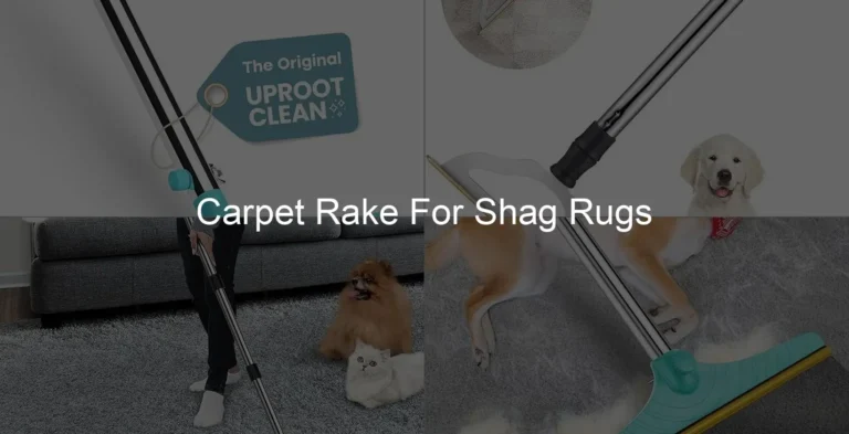 Photo of Carpet Rake For Shag Rugs
