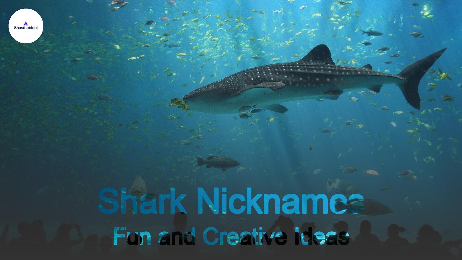 Creative Shark Nicknames Ideas