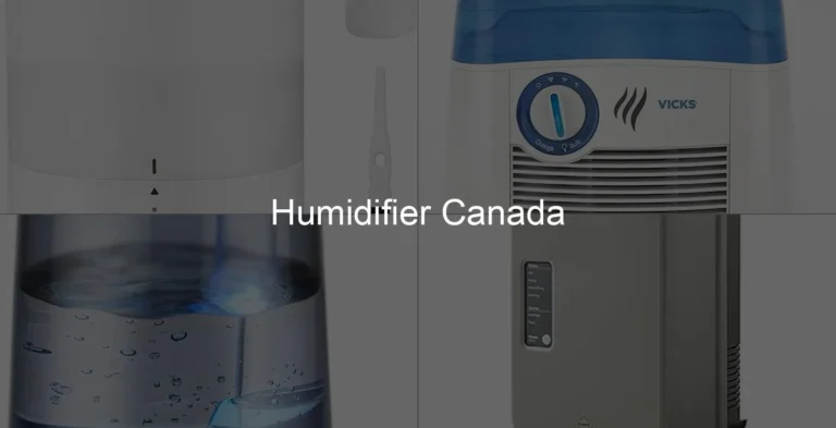 Photo of Humidifier Canada