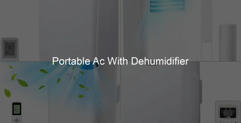 Photo of Portable Ac With Dehumidifier